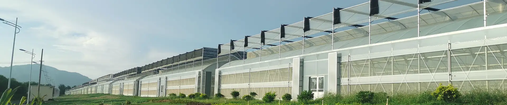 Rumah Hijau PC