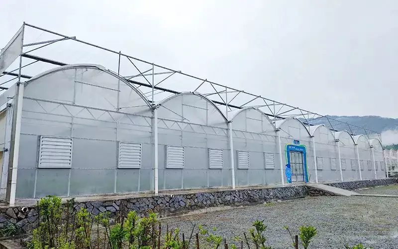 Apakah ciri -ciri rumah hijau plastik multispan?